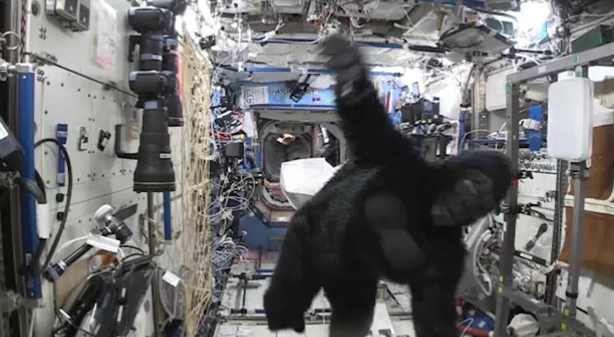 international space station gorilla suit - Hatch